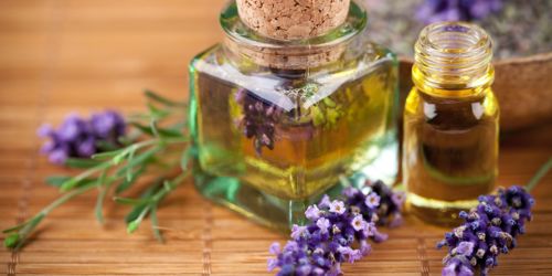 Öl und Honig in einem Glas - dazu Lavendelblüten